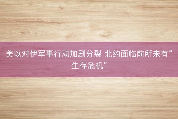 美以对伊军事行动加剧分裂 北约面临前所未有“生存危机”