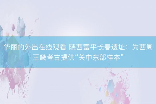 华丽的外出在线观看 陕西富平长春遗址：为西周王畿考古提供“关中东部样本”