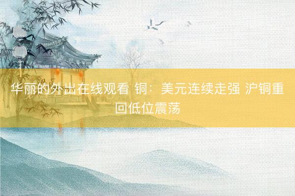 华丽的外出在线观看 铜：美元连续走强 沪铜重回低位震荡