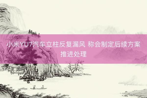 小米YU7汽车立柱反复漏风 称会制定后续方案推进处理