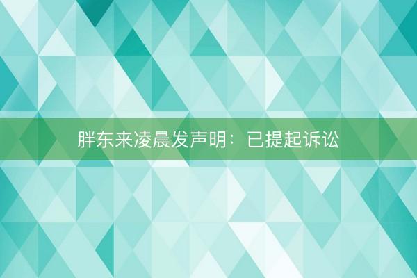胖东来凌晨发声明：已提起诉讼