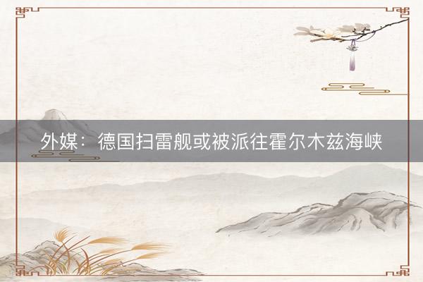 外媒：德国扫雷舰或被派往霍尔木兹海峡