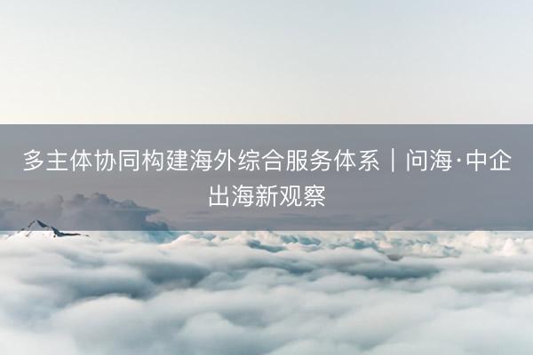 多主体协同构建海外综合服务体系︱问海·中企出海新观察