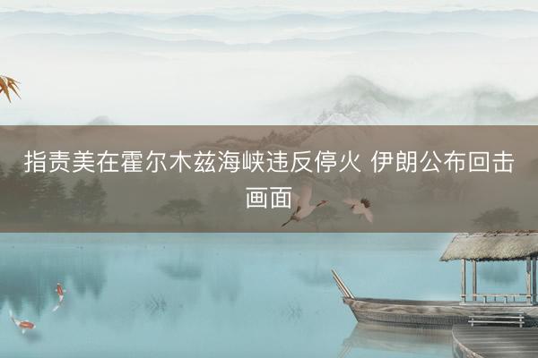 指责美在霍尔木兹海峡违反停火 伊朗公布回击画面