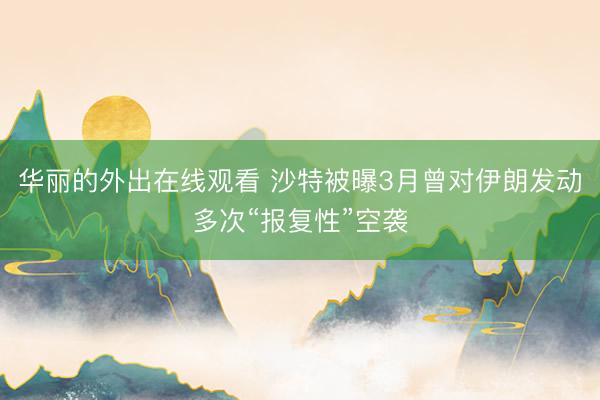 华丽的外出在线观看 沙特被曝3月曾对伊朗发动多次“报复性”空袭