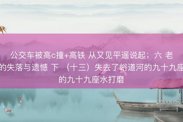 公交车被高c撞+高铁 从又见平遥说起；六 老汾州府的失落与遗憾 下 （十三）失去了峪道河的九十九座水打磨