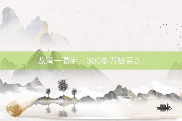 龙湾一豪宅，300多万被买走！