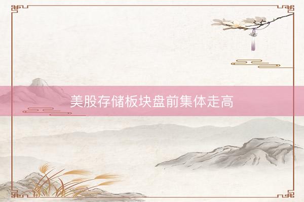美股存储板块盘前集体走高