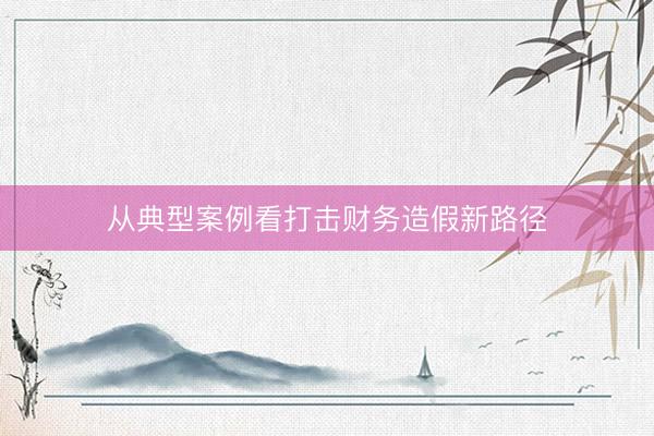 从典型案例看打击财务造假新路径