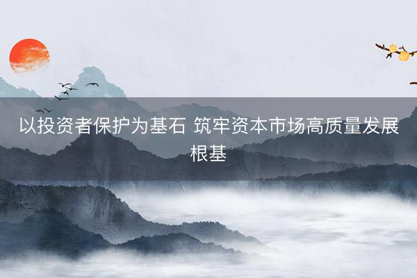 以投资者保护为基石 筑牢资本市场高质量发展根基