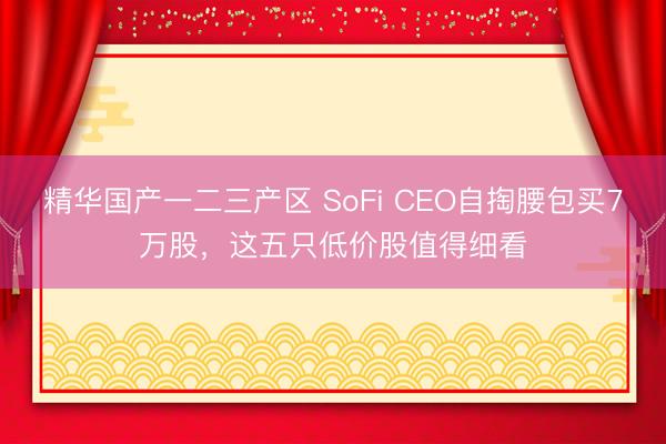 精华国产一二三产区 SoFi CEO自掏腰包买7万股，这五只低价股值得细看