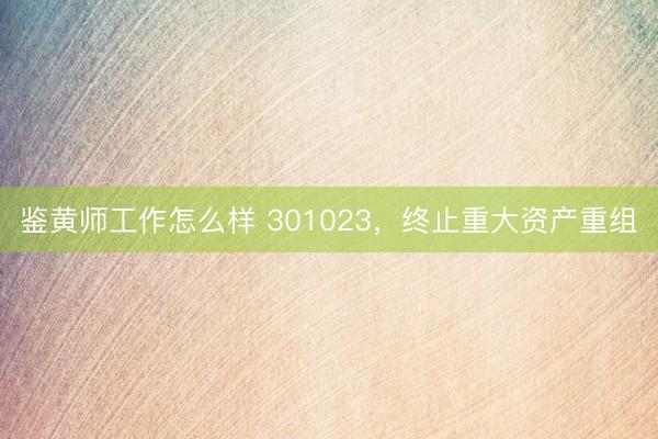 鉴黄师工作怎么样 301023，终止重大资产重组