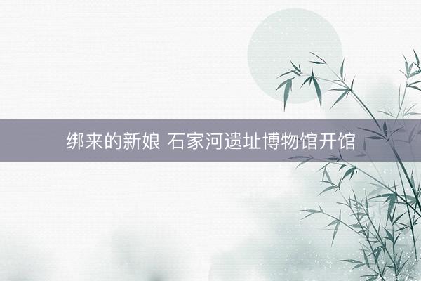 绑来的新娘 石家河遗址博物馆开馆
