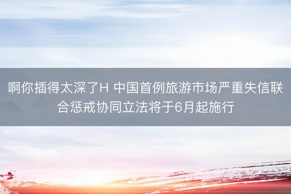 啊你插得太深了H 中国首例旅游市场严重失信联合惩戒协同立法将于6月起施行