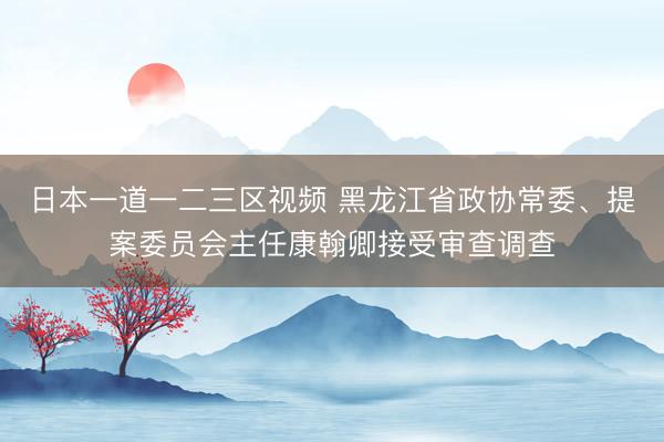 日本一道一二三区视频 黑龙江省政协常委、提案委员会主任康翰卿接受审查调查