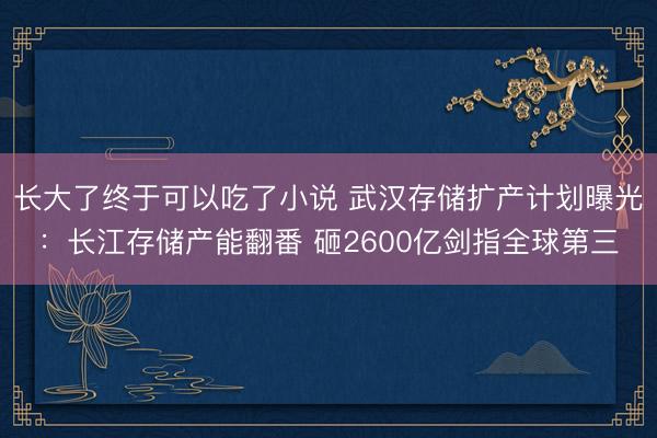长大了终于可以吃了小说 武汉存储扩产计划曝光：长江存储产能翻番 砸2600亿剑指全球第三