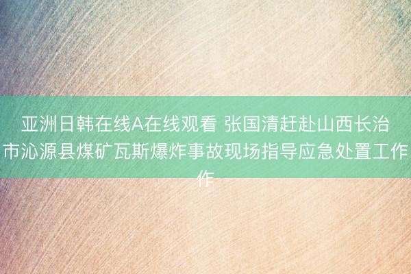 亚洲日韩在线A在线观看 张国清赶赴山西长治市沁源县煤矿瓦斯爆炸事故现场指导应急处置工作