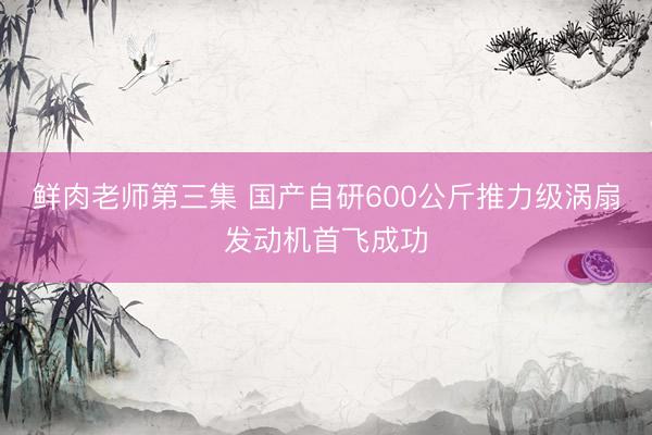 鲜肉老师第三集 国产自研600公斤推力级涡扇发动机首飞成功