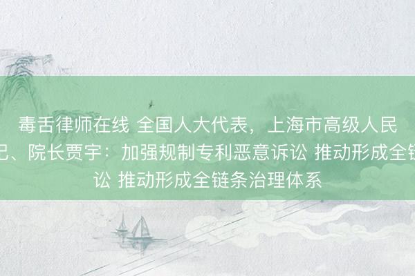 毒舌律师在线 全国人大代表，上海市高级人民法院党组书记、院长贾宇：加强规制专利恶意诉讼 推动形成全链条治理体系