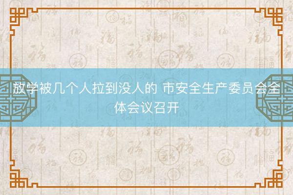 放学被几个人拉到没人的 市安全生产委员会全体会议召开