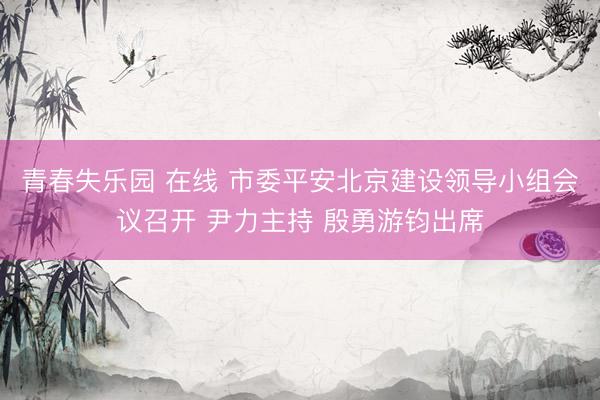 青春失乐园 在线 市委平安北京建设领导小组会议召开 尹力主持 殷勇游钧出席