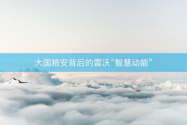 大国粮安背后的雷沃“智慧动能”