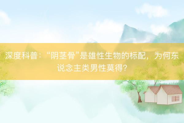 深度科普:“阴茎骨”是雄性生物的标配,为何东说念主类男性莫得?