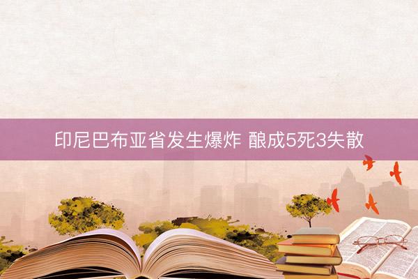 印尼巴布亚省发生爆炸 酿成5死3失散