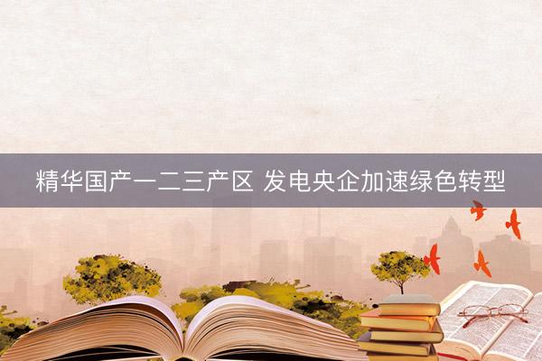 精华国产一二三产区 发电央企加速绿色转型