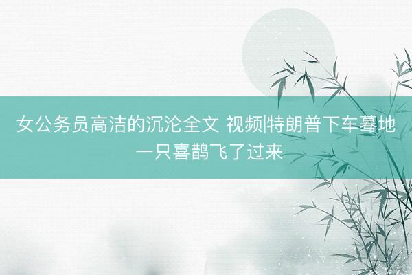 女公务员高洁的沉沦全文 视频|特朗普下车蓦地 一只喜鹊飞了过来