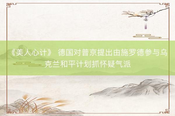 《美人心计》 德国对普京提出由施罗德参与乌克兰和平计划抓怀疑气派