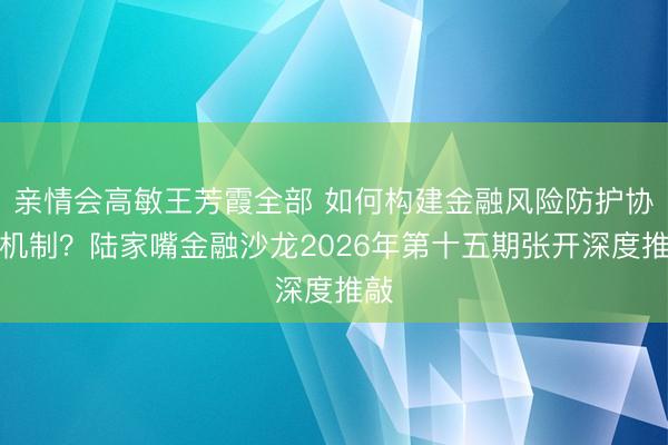 亲情会高敏王芳霞全部 如何构建金融风险防护协同机制？陆家嘴金融沙龙2026年第十五期张开深度推敲