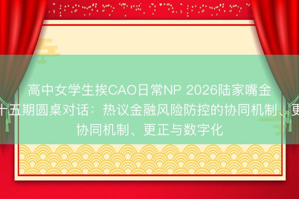 高中女学生挨CAO日常NP 2026陆家嘴金融沙龙｜第十五期圆桌对话：热议金融风险防控的协同机制、更正与数字化