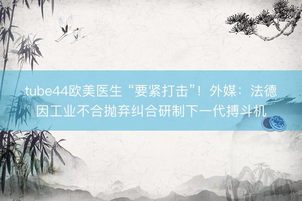tube44欧美医生 “要紧打击”！外媒：法德因工业不合抛弃纠合研制下一代搏斗机