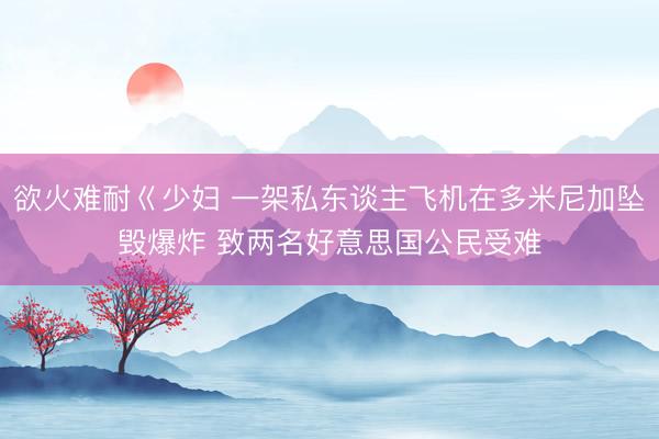 欲火难耐巜少妇 一架私东谈主飞机在多米尼加坠毁爆炸 致两名好意思国公民受难