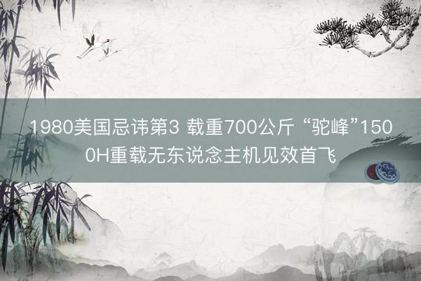 1980美国忌讳第3 载重700公斤 “驼峰”1500H重载无东说念主机见效首飞