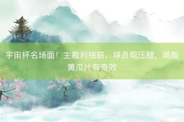 宇宙杯名场面！主裁判抽筋，球员帮压腿，喝酸黄瓜汁有奇效