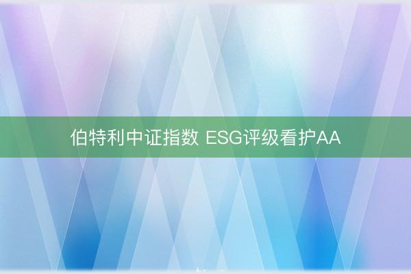 伯特利中证指数 ESG评级看护AA