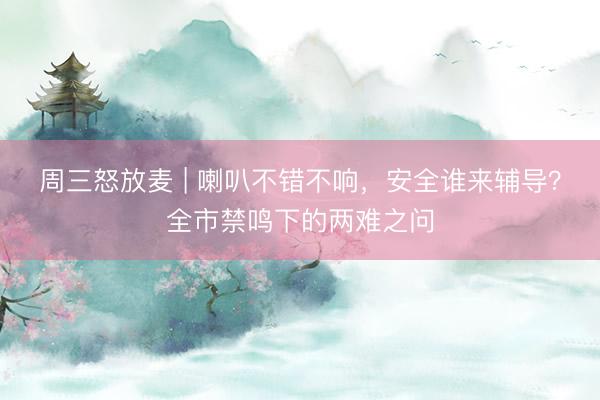 周三怒放麦 | 喇叭不错不响，安全谁来辅导？全市禁鸣下的两难之问